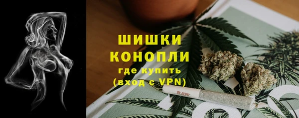 индика Заволжск