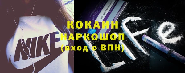 индика Заволжск