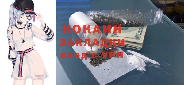 PSILOCYBIN Заводоуковск