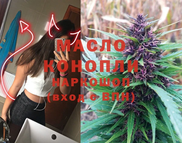 индика Заволжск
