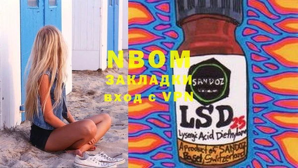 PSILOCYBIN Заводоуковск