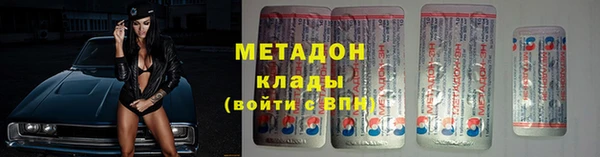 хмурый Тайга