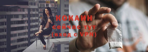 индика Заволжск