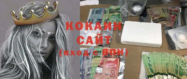 индика Заволжск
