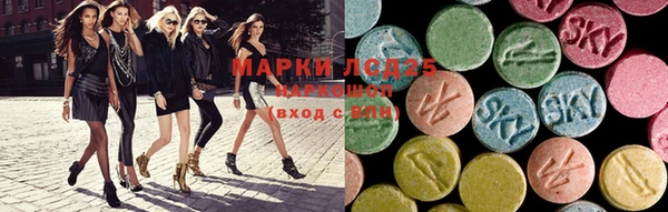 индика Заволжск