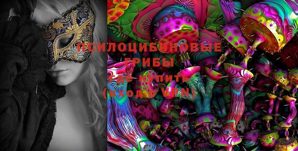 PSILOCYBIN Заводоуковск